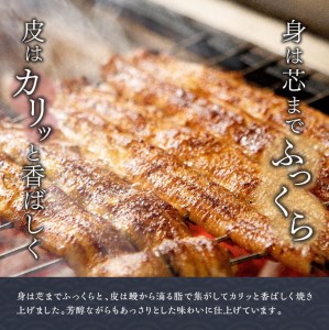 名店の味 国産鰻 宮崎県産うなぎ蒲焼 3尾 (ウナギ390g以上)《うなぎ・蒲焼きのたれ・粉山椒 セット》【国産うなぎ 九州産うなぎ 鰻 ウナギ うなぎ かば焼き 惣菜 ウナギ】