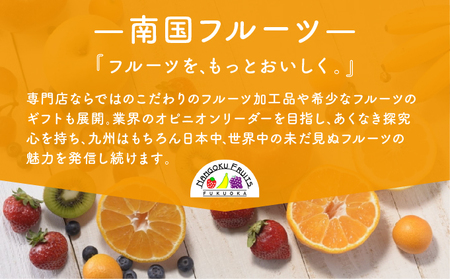 ＜先行予約＞ ＜10月以降順次発送＞柑橘の名産地 佐賀産さがみかん約10kg箱