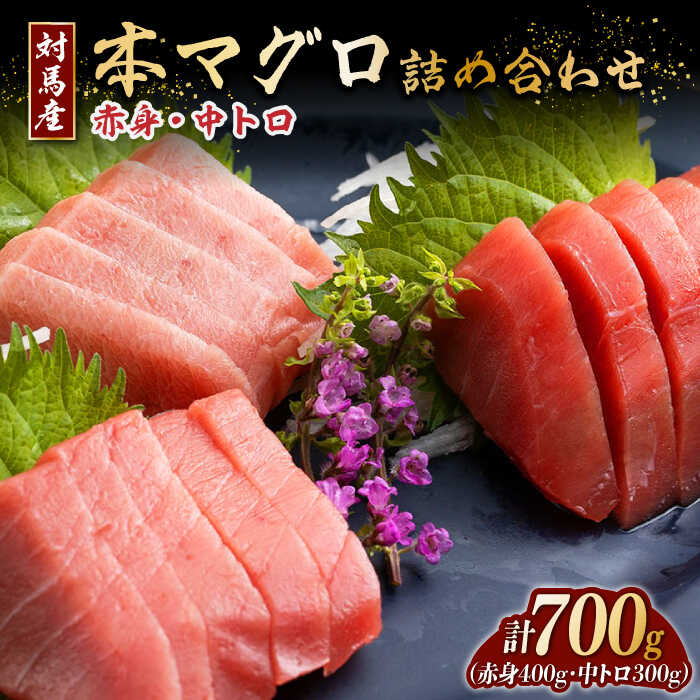 【ふるさと納税】対馬産 本マグロ 700g（赤身400g、中トロ300g） ≪対馬市≫【桐谷商店】 トロの華 対馬 新鮮 マグロ トロ 鮪 刺身 鮮度抜群[WAQ047]