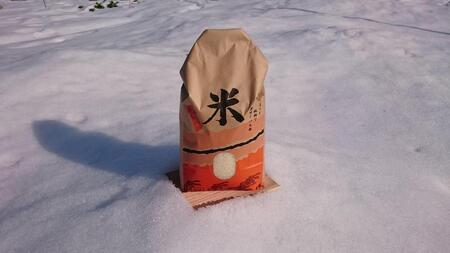 米 コシヒカリ 令和7年産 鳥取県産 5kg