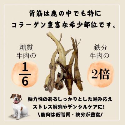 ふるさと納税 泉南市 □ペットフード研究所　国産無添加 鹿スジジャーキー50g |  | 01