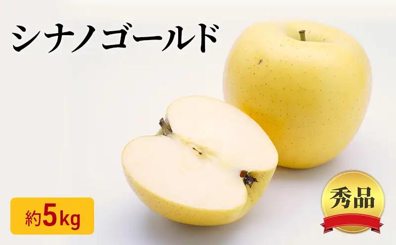 りんご シナノゴールド 秀品 約5kg 16～20玉入 リンゴ