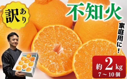 訳あり 不知火 約2kg 7～10個入り しらぬい みかん 蜜柑 果物 フルーツ 柑橘 オレンジ ゼリー ジュース アイス ケーキ デザート スイーツ ジャム 糖度 甘い 不揃い 規格外 ビタミン 美容 健康 送料無料 徳島県 阿波市 サトウ農園