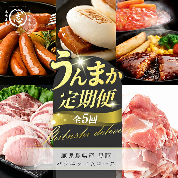 【ふるさと納税】【定期便全5回】鹿児島県産 黒豚バラエティAコース！志布志うんまか定期便 豚肉 黒豚 切り落とし ウィンナー ソーセージ トンカツ トンテキ 肉まん 中華まん ハンバーグ 国産 セット【サンキョーミート】【ナンチク】【萬來】t0064-003