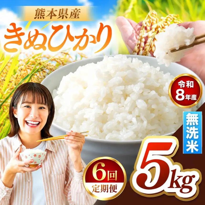 【 定期便 6回 】R8年産 熊本県産 無洗米 きぬひかり 5kg
