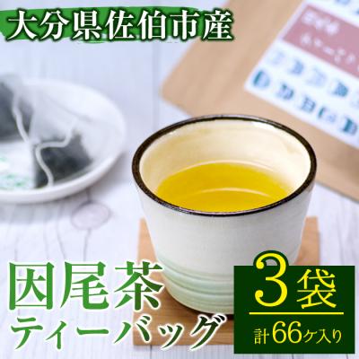 ふるさと納税 佐伯市 因尾茶 ティーバッグ (計66個・22個入×3袋)
