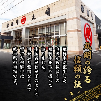 飛騨牛5等級　ヒレステーキ　約150g×4枚【配送不可地域：離島】