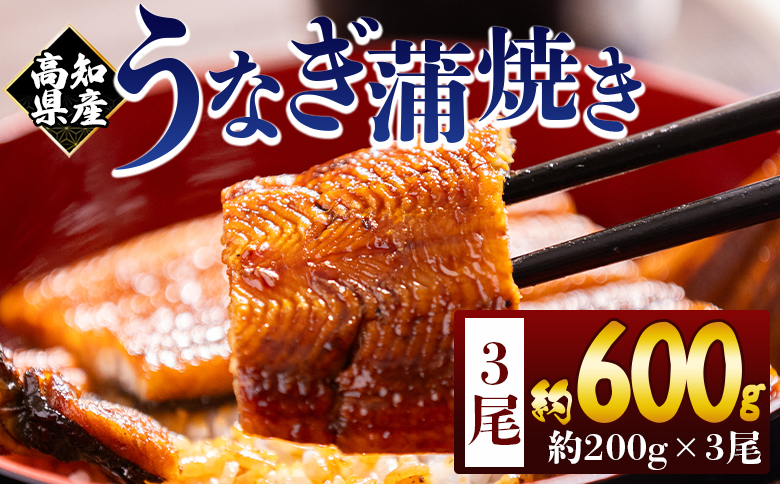 高知県産蒲焼きうなぎ ２００ｇ ３尾 計６００ｇ fb-0160