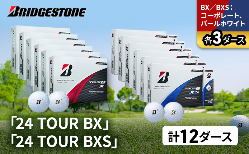 
            ゴルフ 24 TOUR BX ＆ 24 TOUR BXS  12ダース セット ゴルフボール ボール ブリヂストン BXコーポレート、パールホワイト/BXSコーポレート、パールホワイト 各3 [№5689-1541]
          