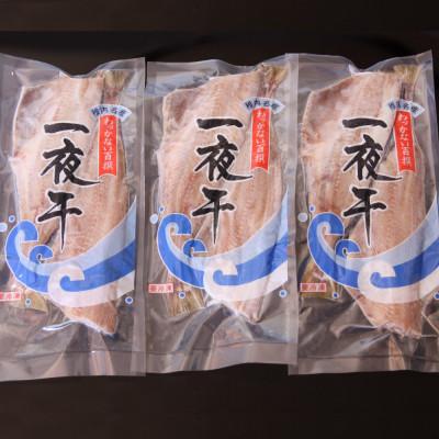 ふるさと納税 稚内市 【 北海道 の 居酒屋 気分】 一夜干し 縞ホッケ (半身2枚入)×3パック 稚内 |  | 03