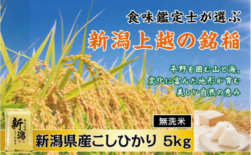 令和7年産 食味鑑定士厳選 新潟県産こしひかり 無洗米 5kg 上越市 米 コメ コシヒカリ