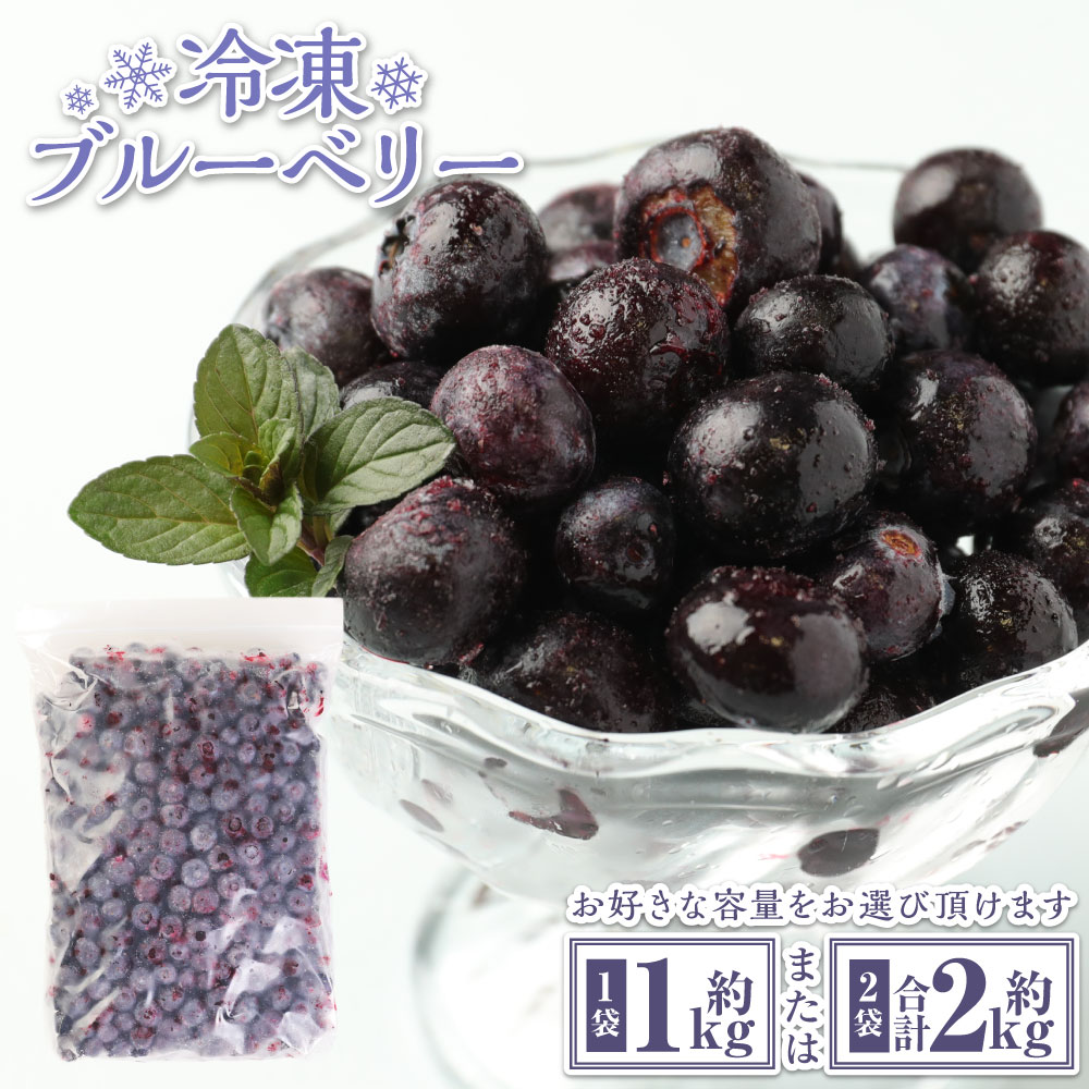 【ふるさと納税】冷凍ブルーベリー 【選べる容量】 (約1kg / 約2kg ) 栽培期間中農薬不使用 ブルーベリー 国産 九州 大分県 九重町産 果物 フルーツ 冷凍フルーツ 家庭用 スムージー ジュース 春 旬 冷凍果物 送料無料