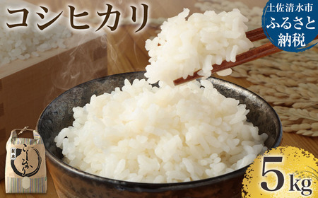 【先行予約】令和７年産 新米 コシヒカリ精米5kg（1袋）白米 お米 ご飯 米 kome こめ コシヒカリ こしひかり 高知県産 5キロ 故郷納税 返礼品 高知 土佐清水市 【R01408】