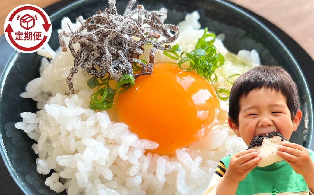 
            【3回定期便】【令和7年産】 白米 ヒノヒカリ 10Kg【2026年7月上旬迄順次発送予定】【お米 米 おこめ こめ コメ 白米 ヒノヒカリ 特産品 国産 岡山県倉敷市産 岡山県 倉敷市 人気 おすすめ】
          