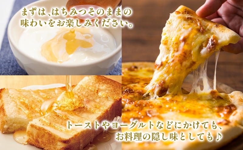 藤原国産蜂蜜 けんぽなし 160g はちみつ ケンポナシ 玄圃梨 国産 単花蜜 朝しぼり 完熟 ハチミツ パン 菓子 トースト ホットケーキ ヨーグルト 調味料 隠し味 お取り寄せ 瓶 容器 常温 常