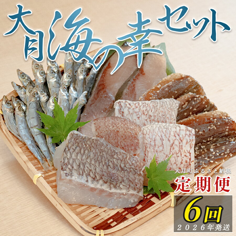 【ふるさと納税】【定期便 6回】大月海の幸セット