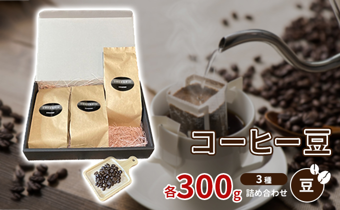 
珈琲豆3種各300ｇ詰め合わせ【豆】 [№5223-0155]
