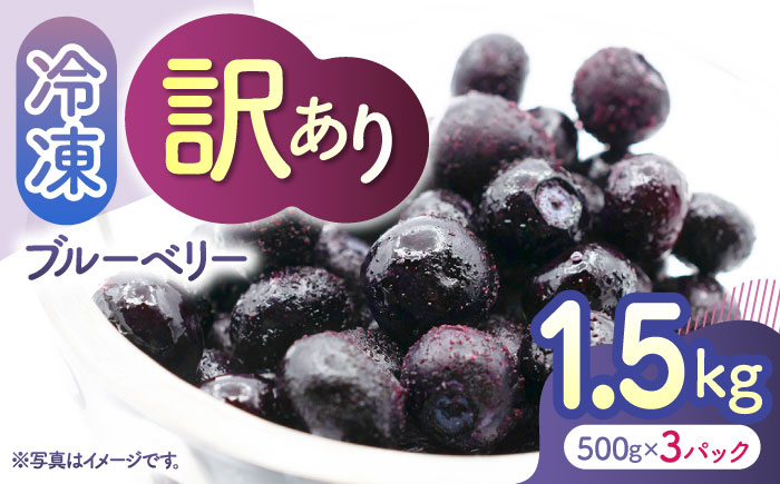 【訳あり】 冷凍ブルーベリー 小粒 1.5kg（500g×3pc） 【すみれファーム】 [ZEP046]