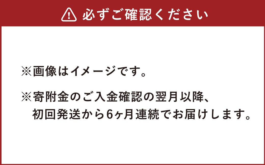 【6ヶ月定期便】天然鉱泉水「信玄」ナチュラルミネラルウォーター