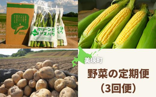 
            【先行予約】野菜 定期便 3回便 <令和8年産 >黒木農場 グリーンアスパラ（M～Lサイズ）1kg、とうもろこし12本、じゃがいもセット（男爵、北あかり各2.5kg)[029-15]
          