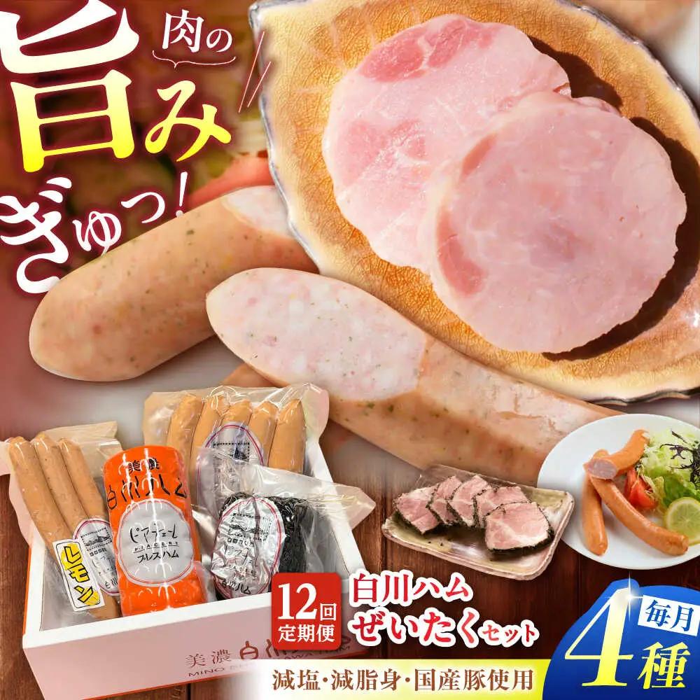 【12回定期便】 美濃白川ハム 4種セット / 白川町農業開発[AWAH023]