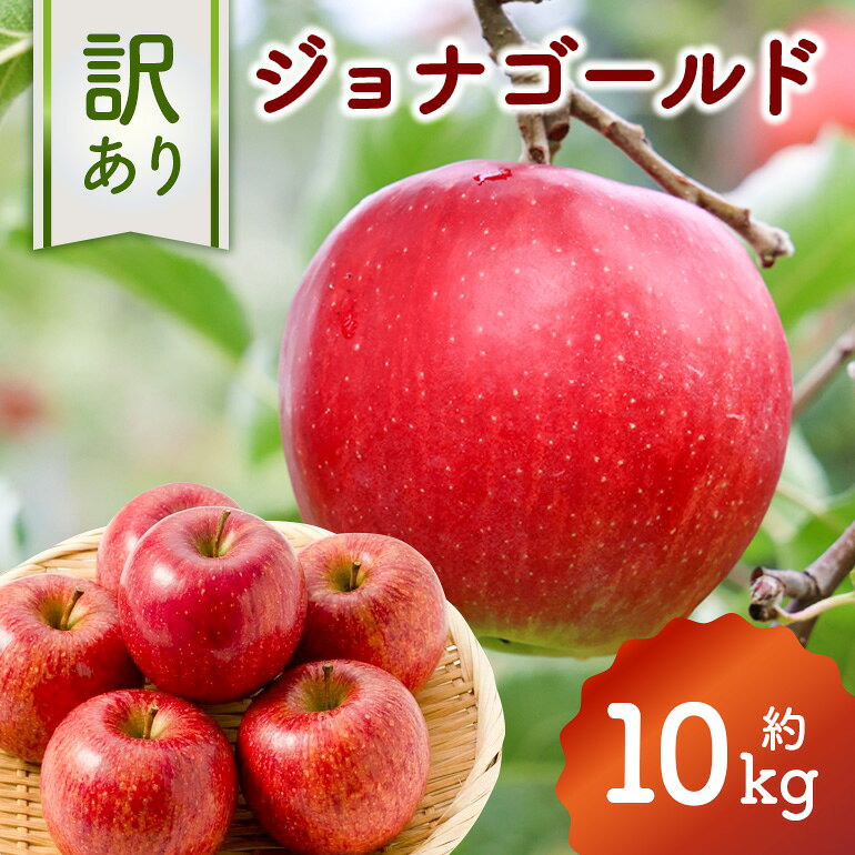 【ふるさと納税】 訳あり りんご (ジョナゴールド) 約10kg 【2026年10月中旬～下旬発送予定】 037-0745x1