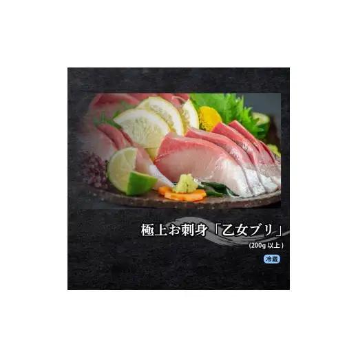 【 刺身 】 刺身定期便3回