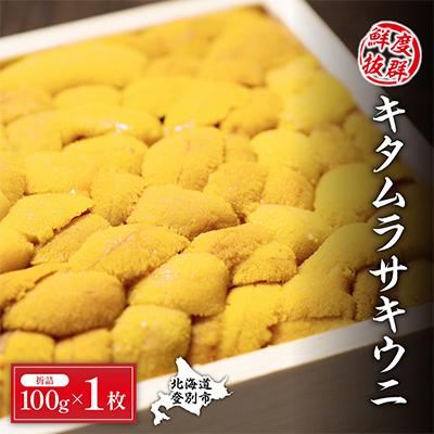 ふるさと納税 登別市 【2025年夏発送】折詰きたむらさきうに 100g×1枚