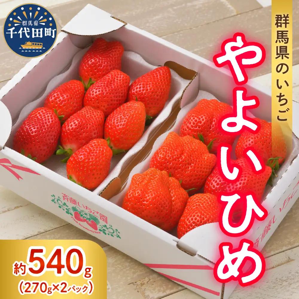 【常温便】2027年1月発送 いちご やよいひめ 約270g×2