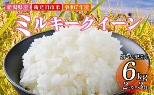 【2025年10月発送】令和7年産 米 6kg 新潟県産 ミルキークイーン 10月発送 2kg×3袋 精米 玄米 自宅用 家庭用 贈答用 ギフト お祝い 白米 お弁当 おにぎり ご飯 ごはん 人気 おすすめ 新潟県 新発田市 D10_02_202510