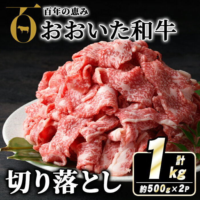 【ふるさと納税】おおいた和牛切り落とし(計1kg・500g×2P) 牛肉 お肉 ウデ モモ バラ 切り落とし 切り落し 切落し こま切れ すき焼き 肉じゃが おおいた和牛 和牛 霜降り【110201002】【吉野】