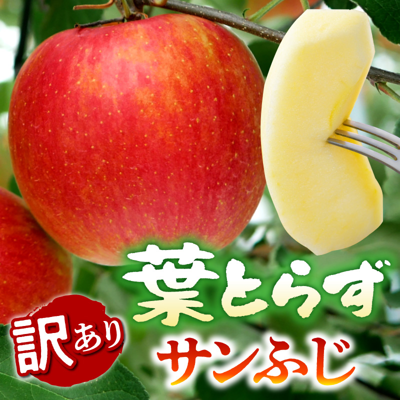 【2027年2月後半発送】【訳あり】青森県産 葉とらず サンふじ りんご 約5kg