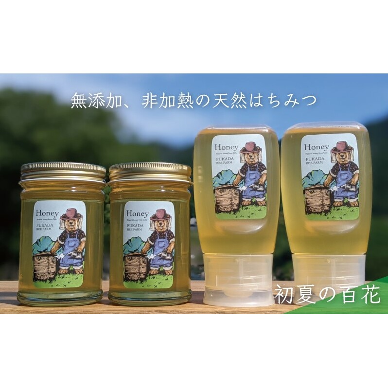 合計1060g 天然蜂蜜 国産蜂蜜 非加熱 生はちみつ 岐阜県 美濃市産 初夏 (蜂蜜230g入りガラス瓶2本、蜂蜜300g入りピタッとボトル2本のセット)B14_イメージ1