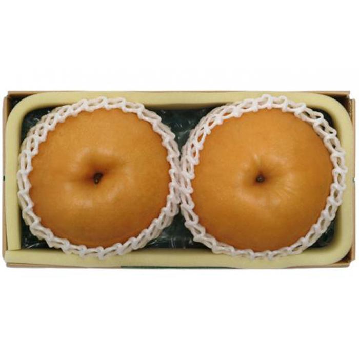 【ふるさと納税】梨 2026年 岡山県産 あたご梨 約1.5kg ( 2玉 ) お届け： 11月下旬～12月中旬 | 梨 なし 果物 フルーツ 新鮮 岡山県 岡山市 おすすめ 人気