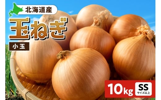 玉ねぎ 北海道産 小玉 10kg SSサイズ以上