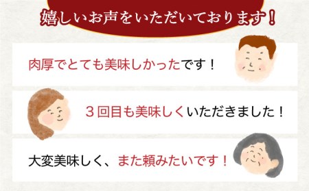 大西海SPF豚 肩ロースブロック 計1.3kg（2?3個）訳あり ＜大西海ファーム＞ [CCY028] 豚肉 ブロック 豚肉 ブロック 豚肉 ブロック 豚肉 ブロック