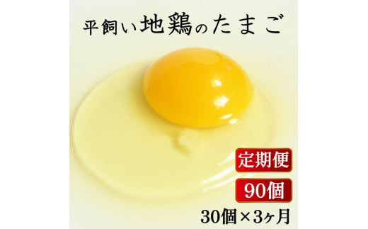 
定期便 全3回 平飼い地鶏のたまご 30個×3ヶ月 合計90個 毎月30個 たまご 卵 玉子 生卵 鶏卵 平飼い 岡崎おうはん 地鶏 鳥 鶏 愛知 なごや 岡崎 愛媛 愛南町 ケーキ お菓子 おかず ブランド 希少 送料無料 ローカルスタンダード
