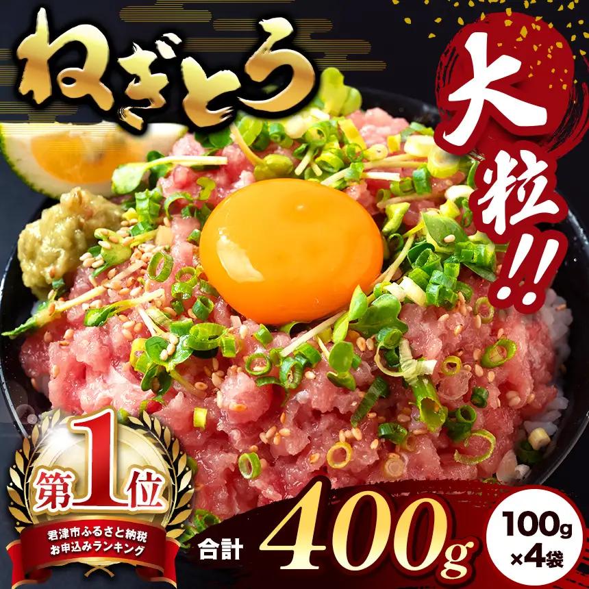 ねぎとろ 400g（100g×4袋） 本州限定発送 簡易包装 スピード発送 | 清幸丸水産 最短7日以内発送 ユッケ 大人気 手巻き寿司 海鮮丼 マグロのユッケ まぐろ 海鮮 小分け 100g パック 千葉県 君津市