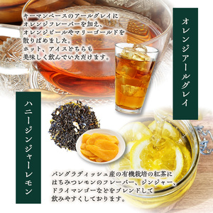 【全6回定期便】世界の美味しい紅茶５種セット　010-03-T3