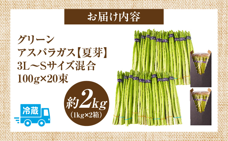 【先行受付】【夏芽】グリーンアスパラガス サイズ混合約2kg（1kg×2箱）  グリーンアスパラガス アスパラガス アスパラ 夏芽 おすすめ 混合 シャキシャキ 野菜 冷蔵 新鮮 新鮮野菜 香川県 国
