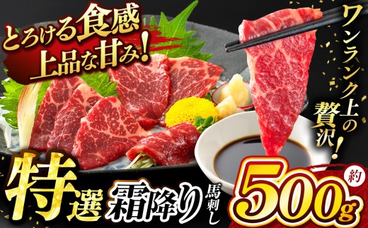 特選 霜降り 馬刺し ブロック 約 500g タレ付き   | 熊本県 熊本 くまもと 和水町 なごみ 馬肉 日本原産 国内肥育 小分け 冷凍