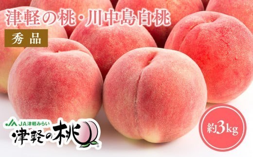 
                  ≪8月下旬～9月中旬発送予定≫ 津軽の桃 川中島白桃 約3kg  秀品 
                
