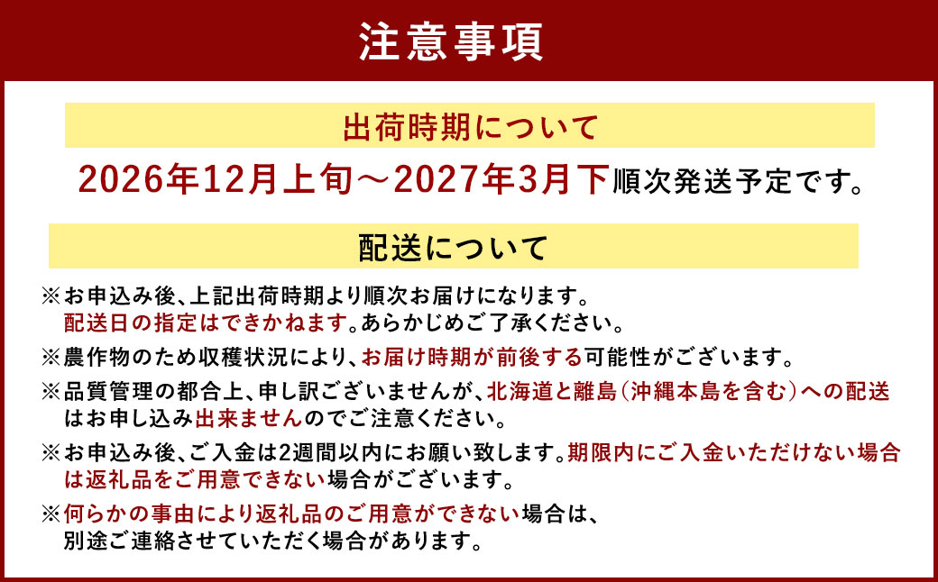あまおう＆ふくや 味の明太子 290g セット 苺 いちご イチゴ めんたいこ セット【2026年12月上旬～2027年3月下旬発送予定】