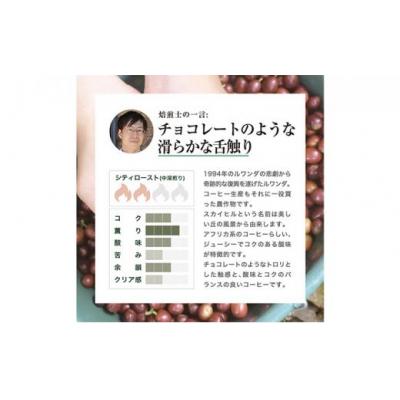 ふるさと納税 堺市 【豆】珈琲 スペシャルティーコーヒー豆ルワンダ スカイヒル 600g |  | 02