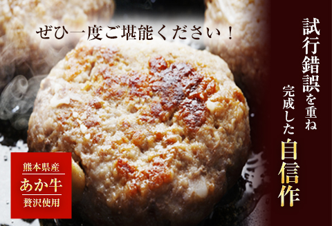 あか牛 ハンバーグ 熊本県産あか牛を使用した贅沢ハンバーグたっぷり120g×7個入り《30日以内に出荷予定(土日祝除く)》---mna_fschamburg_30d_21_14000_840g---