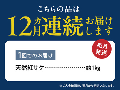 脂と旨みたっぷり！魚鶴仕込の天然 紅サケ 紅鮭 鮭 サーモン 切身 切り身 約1kg　 全12回定期便_G60-T87