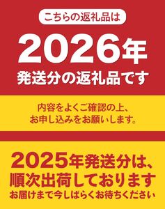 【2024年先行予約】【2回定期便】山梨朝どれ桃2kg×2回配送(白鳳系・白桃系)