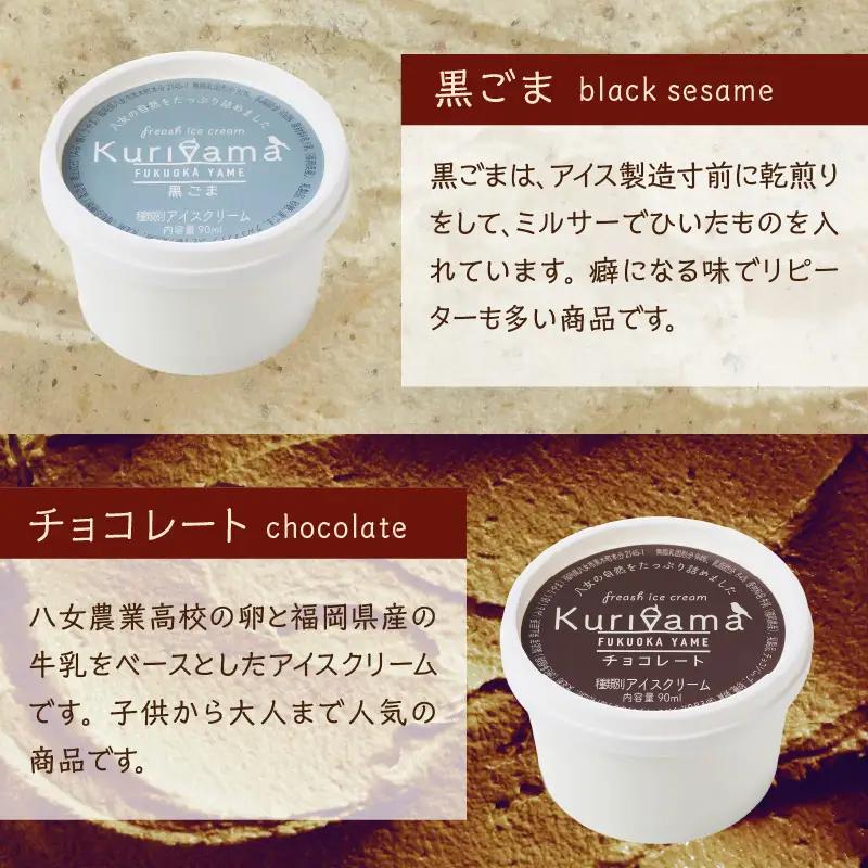 くりやまアイス6個セット 各90ml アイスクリーム 酪農家 手作り 地元産 お茶 フルーツ 身体に優しい 笑顔 幸せ 043-004