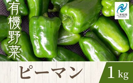 《2026年8月以降順次発送》ピーマン1kg【一般社団法人二本松有機農業研究会】