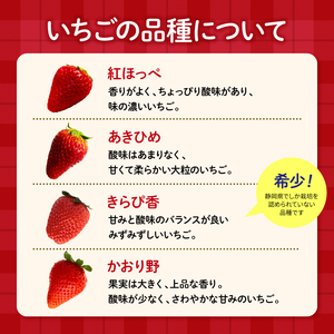 いちご  2026年2月発送  大粒 24から30粒 あきひめ 紅ほっぺ かおりの きらぴ香 いちご